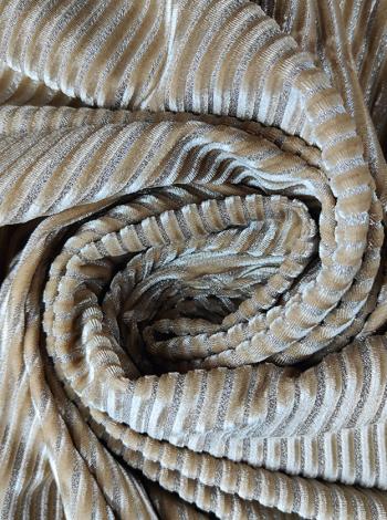 Sidabriniai dryžiai 2-4